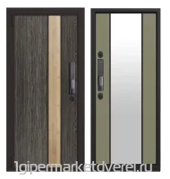 Входная металлическая дверь ELECTRA Biometric производителя PORTALLE